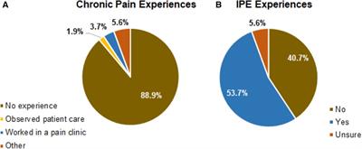 Supervised interprofessional student pain clinic program - efficacy with the utilization of zoom